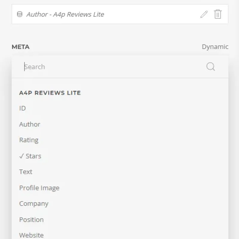Map Google review fields from A4p Reviews Lite to a YOOtheme Pro Panel Slider